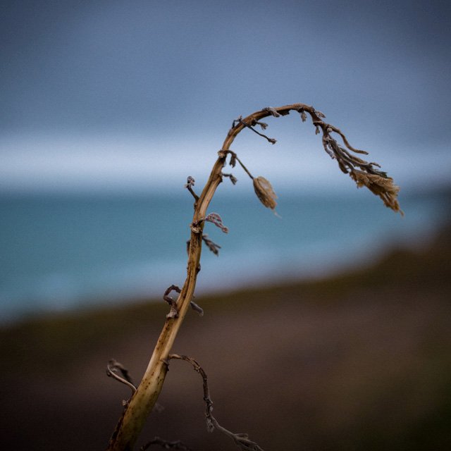 I'm Jack, a hobby photographer living in Hove who LOVES all things photographic. I shoot both digital and 35mm film. #canon #fuji #6D #70D #XT1 #X70