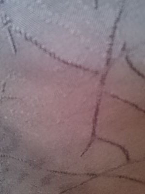 SabrinaTurpin's profile picture. 