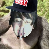 LeafyIsHarambe (@leafyisharambe) 's Twitter Profile