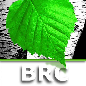 BRCSCADA's profile picture. BRC provides Operational Technology (OT) services to customers in the Oil & Gas, Water and Electric Utilities markets.
