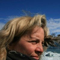 Liz Beatty (@elizabethbeatty) 's Twitter Profile