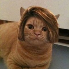 create20150's profile picture. Freelance Graphic Designer