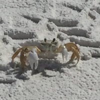 SCAD8005 (@scadams80) 's Twitter Profile Photo SCAD8005 (@scadams80) 's Twitter Profile Photo