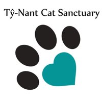 Tŷ-Nant Cat Sanctuary(@TyNantCattery) 's Twitter Profile Photo