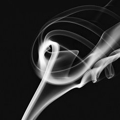 cpshutterbug's profile picture. Melancholy explorer with camera