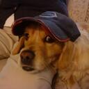 Aaron Tomas Martinez - @tomgok - Twitter