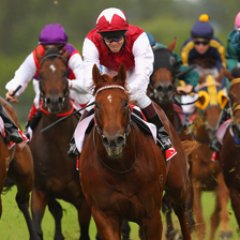 We offer a range of Horse Racing Tips, as well as with other sports, to help you to become more successful with your betting.