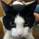 james bee - @jambee36 - Twitter