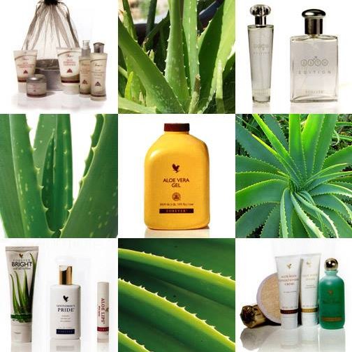 Shop online ALOE VERA certified products: aloe gel, #skincare Sonya, #supplements #aloevera #aloeshop @Aloelf 🏠#aloe #weightloss #onlineshop #buyaloe