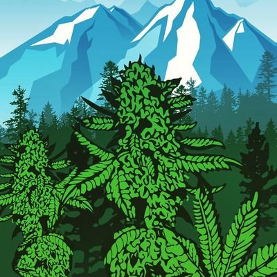 Legal Bellingham WA rec and med marijuana store open 8am - Midnight 7 days a week. Real people, real quality, and really great prices. 21+ Rec, 18+ Medical