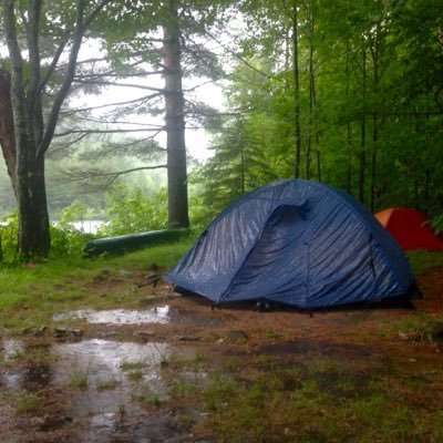 askmrslong's profile picture. 