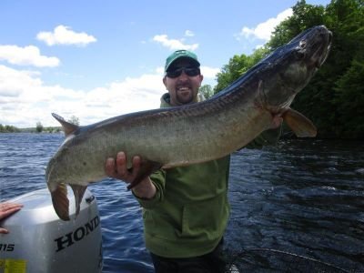 Proud father and husband, fisheries biologist, fishing and birding enthusiast, lover of the outdoors and fantasy sports