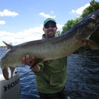 Scott Gibson (@scottgibson00) 's Twitter Profile