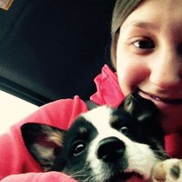 Whitney Linenberger (@welinenberger88) 's Twitter Profile