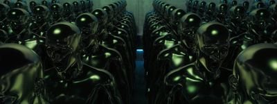 jesvsmm's profile picture. 