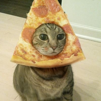 xPizzaCatx's profile picture. 