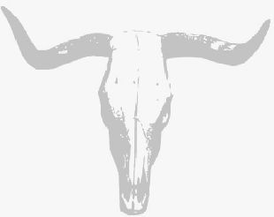 JohnnyUtahs's profile picture. NYC's only mechanical bull