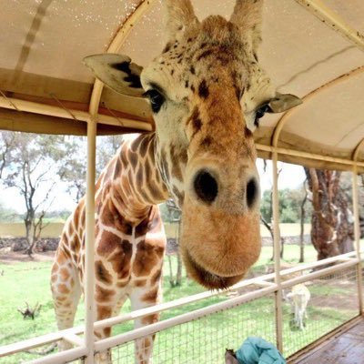 Danyml041082's profile picture. Happy