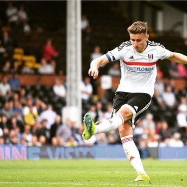 @leaveeuofficial @brexitparty_uk @fulhamfc