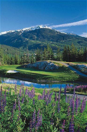 The Fairmont Chateau Whistler Golf Club opened in 1993 and was designed by Robert Trent Jones Jr.