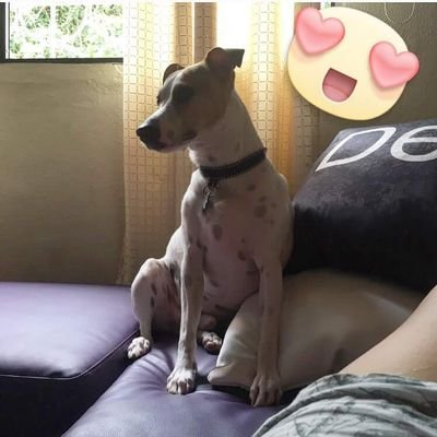 luchyfer2014's profile picture. 