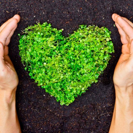 RTImpactInvest's profile picture. Providing investment support to impact investors