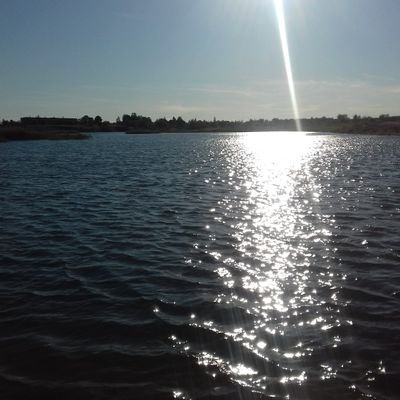 svigach's profile picture. Genuine1991