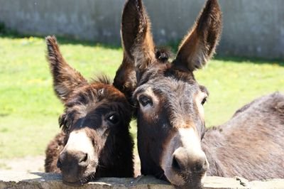 sweeetske's profile picture. sweeetske