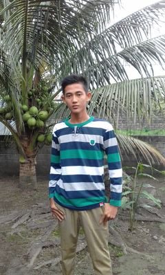 sholysyafrizal3's profile picture. The one and only