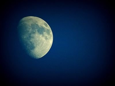 取引用 主に舞台のチケットやグッズの交換・譲渡 その時に欲しいものを気ままに集めています。 ※48h以上反応ない場合は通知漏れが考えられますので、再度ご連絡お願いいたします。検索からでも◎ 20↑/ゆうちょ/都内手渡し◎ 🌈🕒周辺B済(@wasa_2444_s) https://t.co/NRC1RR93au