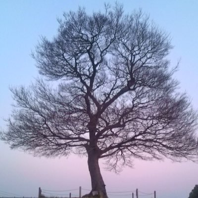 warsmaaaan's profile picture. 