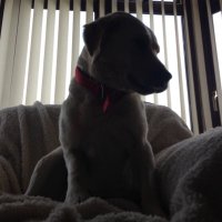 Marian 🎃👻 (@nairamk) 's Twitter Profile Photo