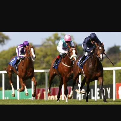 Bringing you Horse Racing Tips Daily! I aim to make you Rich! Sharing 15+ years of knowledge & experience.