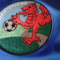 Cerrig-y-Drudion F.C (@cerrigfc) 's Twitter Profile