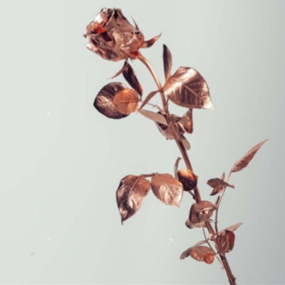 IMABLACKBAGTHAT's profile picture. 