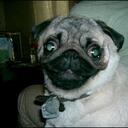 Casey Kuntz - @CaseyLovesCandy - Twitter