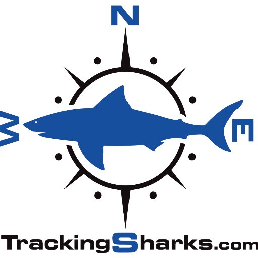 📽 https://t.co/FiiikE14nR
Dedicated to saving sharks. Visit https://t.co/Bws7PWCiYo to track sharks, shark bite locations, and find shark news.