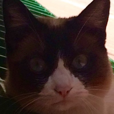 ig_noro's profile picture. 