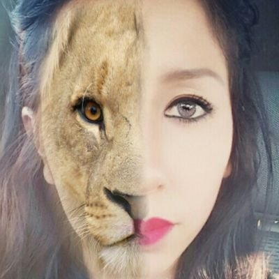 litacelA's profile picture. 