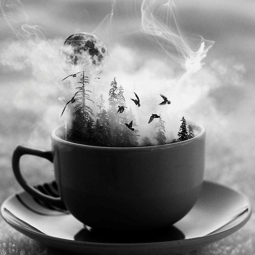 Poet. Blogger. Coffee lover. Raconteur. Fashion Addict.