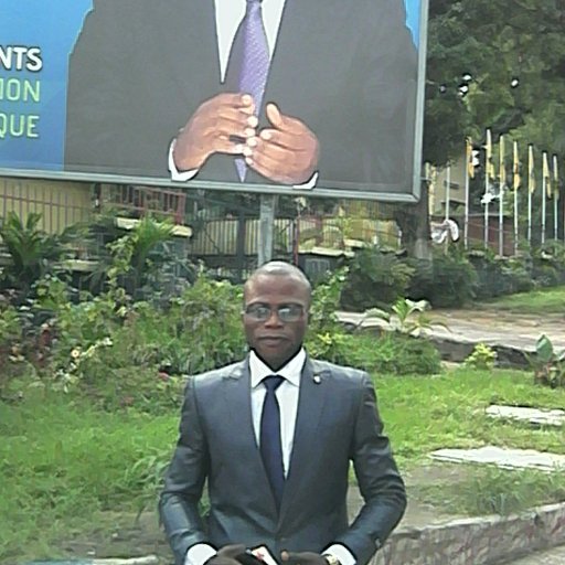 Superviseur au S.E Parc agro industriel de Bukanga-Lonzo.
Candidat Député National aux élections présidentielles de 2011.
Professeur d'anglais Américains.