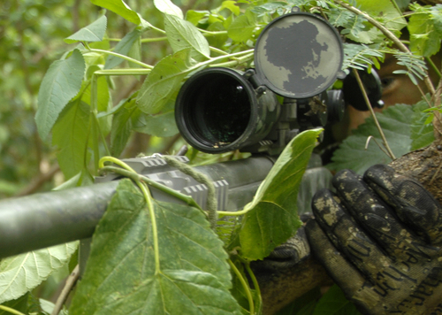 BHABIT's profile picture. Disabled Marine