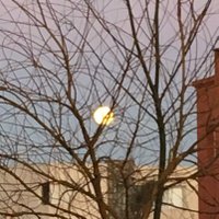 Mc (@mcschuler) 's Twitter Profile