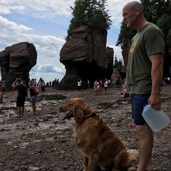 MattConnollyRLP's profile picture. Only here to browse.