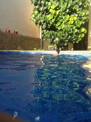 betadict's profile picture. spoiled golden boy of bets