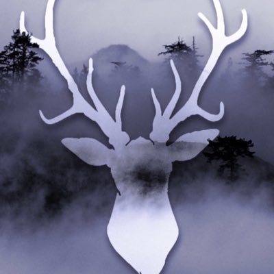 caoxubjmu's profile picture.
