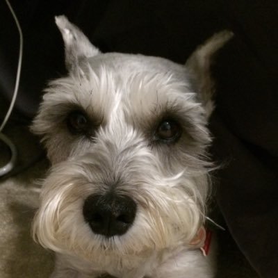 bethy_b05's profile picture. 