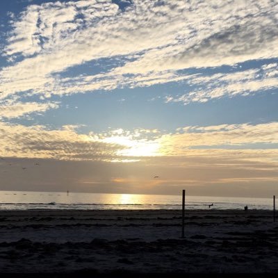 deelovesjon's profile picture. Animals, Travel, Naturopathy & Homeopathy, Beauty Therapy, Dancing, Reading, Photography.