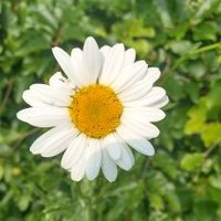 Amanda (@ginlover37) 's Twitter Profile Photo