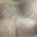 Bob (@slaveman4u) Twitter profile photo Bob (@slaveman4u) Twitter profile photo